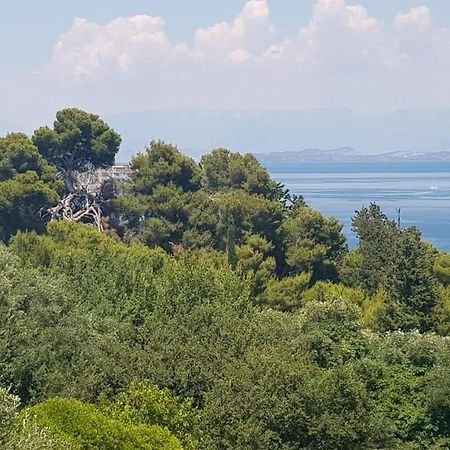 Mon Repos Panorama Apartment Corfu  Exterior foto